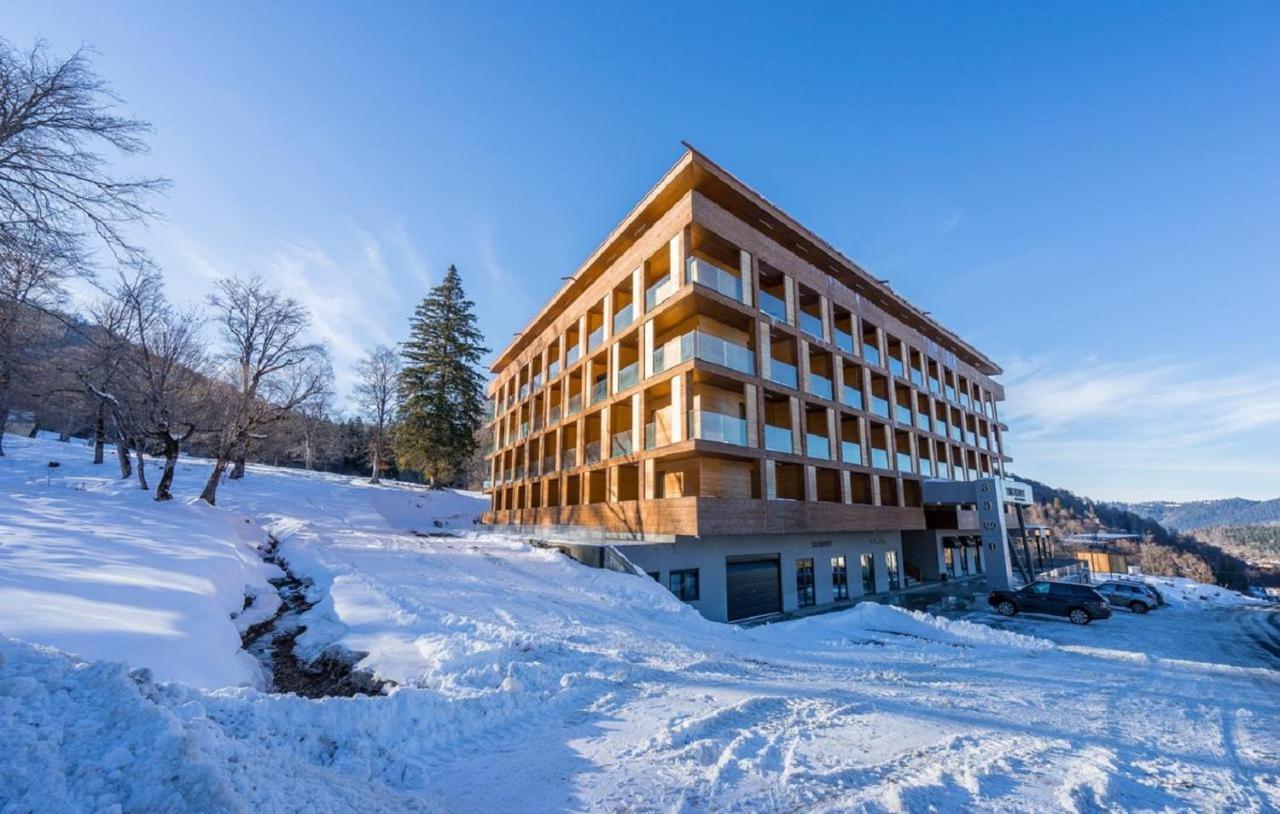 Комплекс Valley Bakuriani Belle Epoque Apartment&SPA Экстерьер фото